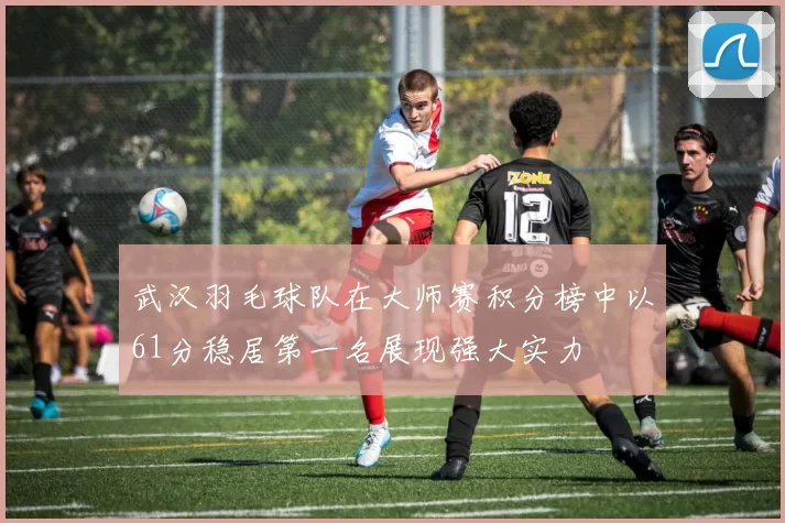 武汉羽毛球队在大师赛积分榜中以61分稳居第一名展现强大实力
